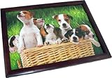 Puppies in a Basket Bean Bag Cushioned Lap Tray