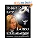 Das Buch des Lichts Band II: Ursprung und Bestimmung von Mensch und Universum
