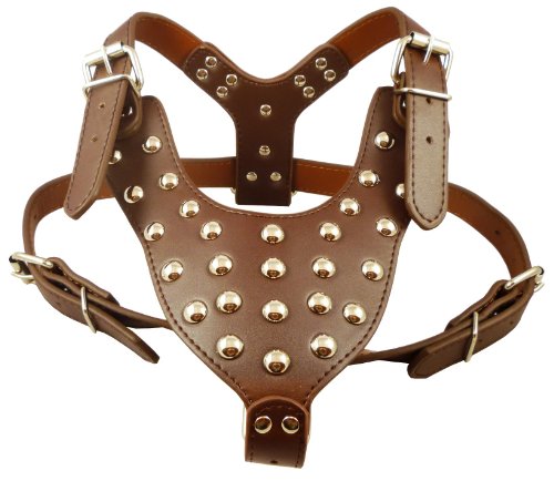Image #1 of Studded Brown Leather