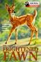 Frightened Fawn (Animal Emergency)