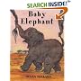 Baby Elephant (Baby) (Baby)