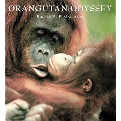 Orangutan Odyssey