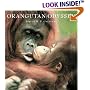Orangutan Odyssey
