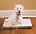 Petsafe Small Stay! Mat Wireless Crate