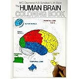 the human brain coloring book cos 306