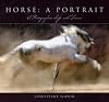 Horse, a Portrait: A Photographer's Life With Horses