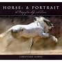 Horse, a Portrait: A Photographer's Life With Horses