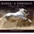 Horse, a Portrait: A Photographer's Life With Horses