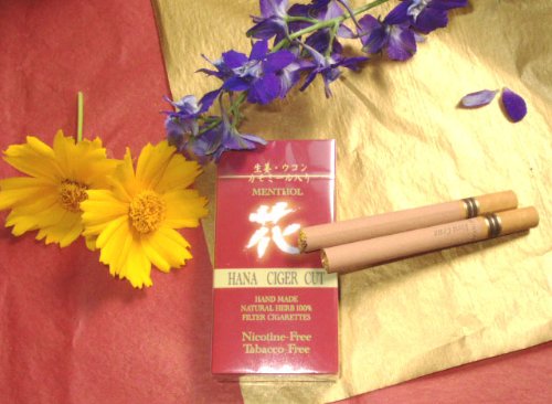 Cover image : 禁煙グッズ ニコチンゼロの花シガーガット(10本入り)15箱セット 吸いながら効率よく禁煙！スタンダード味