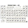Periodic Table of Sex (Reference Guide) Art Poster Print - 24x36 Poster Print, 36x24