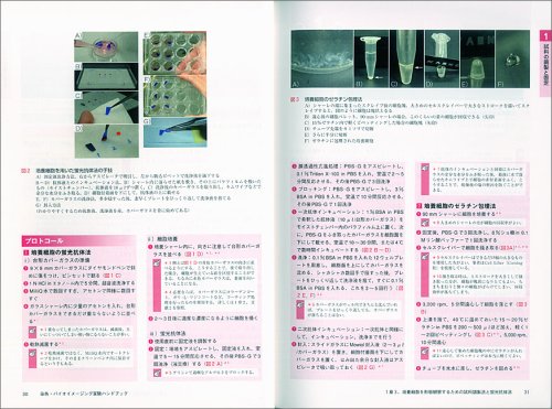 Cover image : 染色・バイオイメージング実験ハンドブック―細胞や組織の形態・遺伝子・タンパク質を観るための染色法と顕微鏡観察のすべて (実験医学別冊)