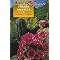 Striking Desert Flowers You'll Love to Plant