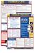 Florida Labor Law Posters - 2010