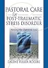 Pastoral Care for Post-Traumatic Stress Disorder: Healing the Shattered Soul