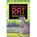 Space Station Rat
