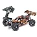 Carson 500204027 - 1:8 CY2 Specter Sport V36, 2,4 GHz Fernsteuerung, Ready-to-Race