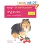 Dog Tricks: Fun Tricks to Teach Your Dog (Hamlyn All Colour 200)