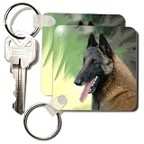 Belgian Malinois Portrait - Set Of 2 Key Chains