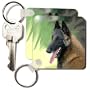 Belgian Malinois Portrait - Set Of 2 Key Chains