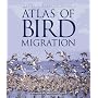 Natural History Museum Atlas of Bird Migration: Tracing the Great Journeys of the World's Birds