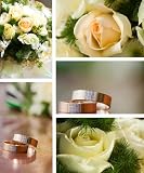 Bridal Accessories