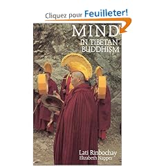 Mind in Tibetan Buddhism: Oral Commentary on Ge-Shay Jam-Bel-Sam-Pel's Presentation of Awareness and Knowledge Composite of All the Important Points