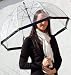 Clear Dome umbrella. Black Border Fibreglass Frame