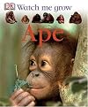 Ape (Watch Me Grow)