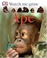 Ape (Watch Me Grow)