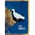 Die Bibel: Altes und Neues Testament. Die sch�nsten Texte im Gro�druck in der Einheits�bersetzung