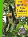 How Monkeys Make Chocolate: Foods and Medicines from the Rainforests by Adrian Forsyth ISBN 1895688329