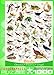 EuroGraphics Birds Fields and Gardens Puzzle (1000-Piece) (6000-1259)