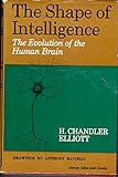 The shape of intelligence : the evolution of the human brain