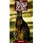 Trials of Life: Growing Up [VHS]