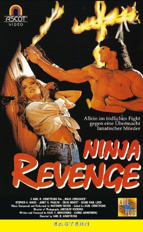 Ninja Revenge