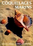 Coquillages marins, numéro 33