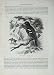 Cassell'S Birds C1870 Chaffinch Fringilla Coelebs Bird