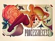 Process Recess Volume 2: Portfolio
