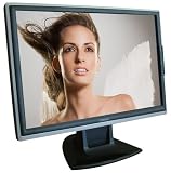 Computer : Cibox C1905 19" Widescreen LCD Display - Black/Silver