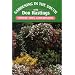 Gardening in the South: Flowers, Vines, & Houseplants (Gardening in the South with Don Hastings)