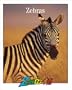 Zebras (Zoobooks Series)