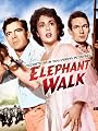 play video on Amazon Instant Video