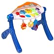FISHER PRICE SINGING STAR GYM