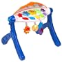 FISHER PRICE SINGING STAR GYM