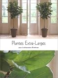 Plantes extra-larges pour la d�coration d'interieur