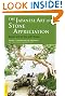The Japanese Art of Stone Appreciation: Suiseki and its use with Bonsai (Tuttle Classics)