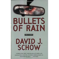 Bullets of Rain: A Novel of Suspense