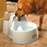 The Big Dog Drinking Fountain