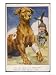 French Soldier Salutes a War Hero, a Red Cross Dog Wounded in Action Animals Giclee P...