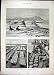 1890 FUR SEAL ROOKERY PRIBYLOV ISLAND COD MACKEREL FISH